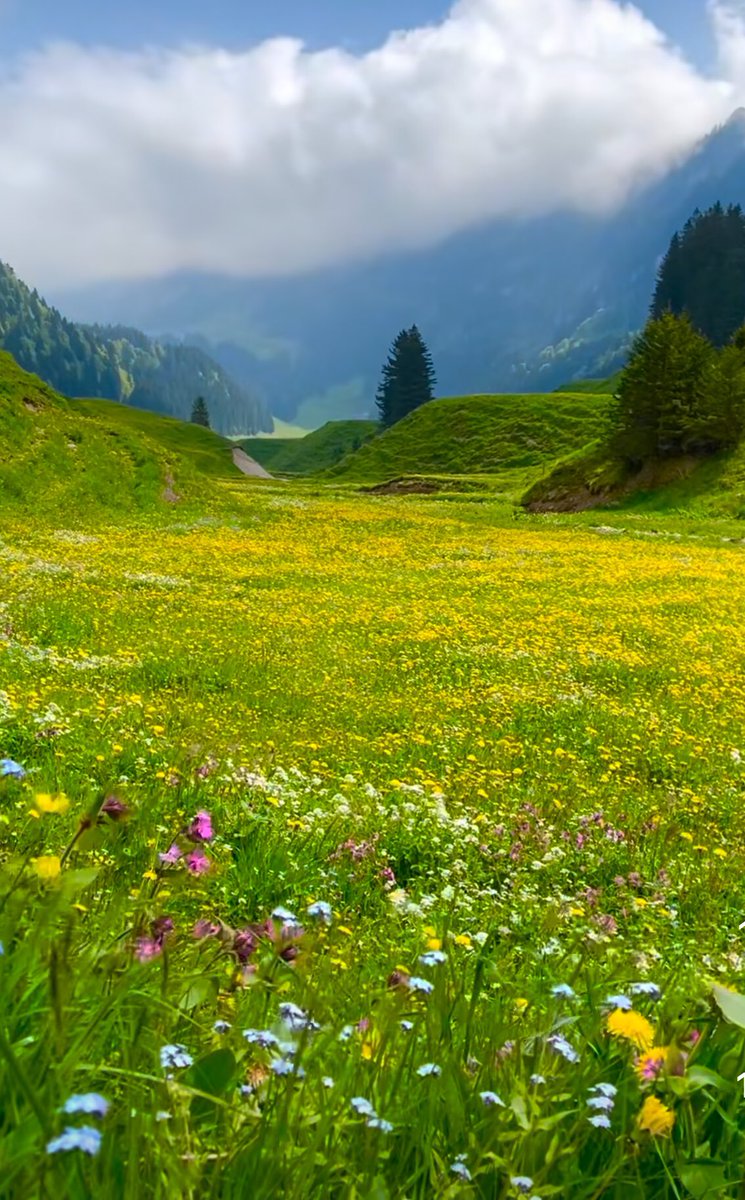 The closer you are to nature, the further you are from idiots.