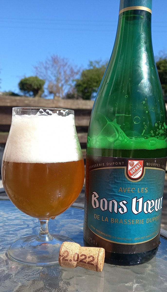 A #BonsVoeux to enjoy this sunny afternoon a 9.5% #Saison from #Dupont #Belgium #craftbeer at its best delish #supportcraftbeer