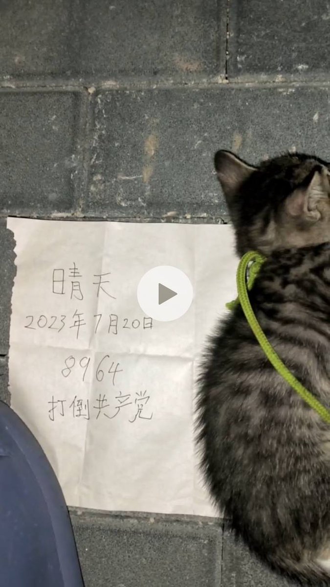 ayakan0922's tweet photo. 「8964」天安門事件。

中国倒す前にお前が倒されるわ、ボケ。
#chinacats 
#chinatravel 
#HainanExpo2024

@Embaixada China
@BrazilEmbChina
@EmbChinaMex
@EmbZhangRun
@ChinaEmbajada
@zhu_jingyang
@ChinaEmbPeru
@ChineseEmbinUS
@AmbXieFeng
@CGHuangPingNY
@CG_ZhangJianmin
@ChinaCG_NYC https://t.co/xRTD50atJj