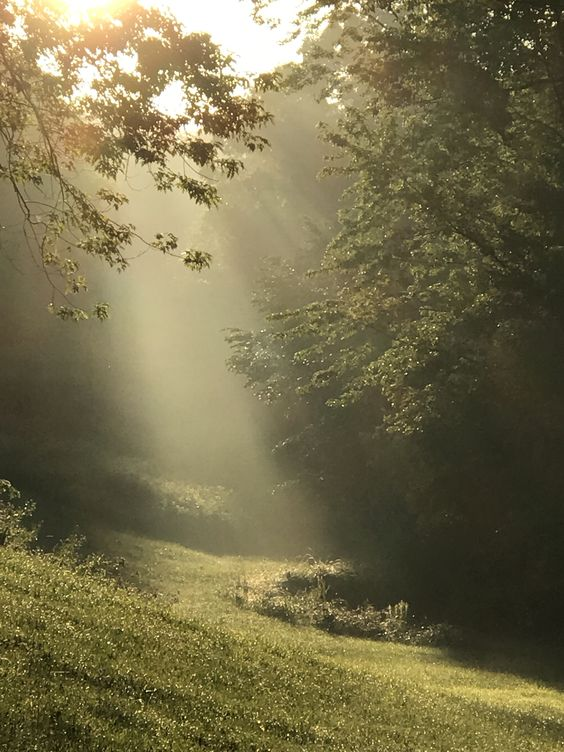 streaks of light