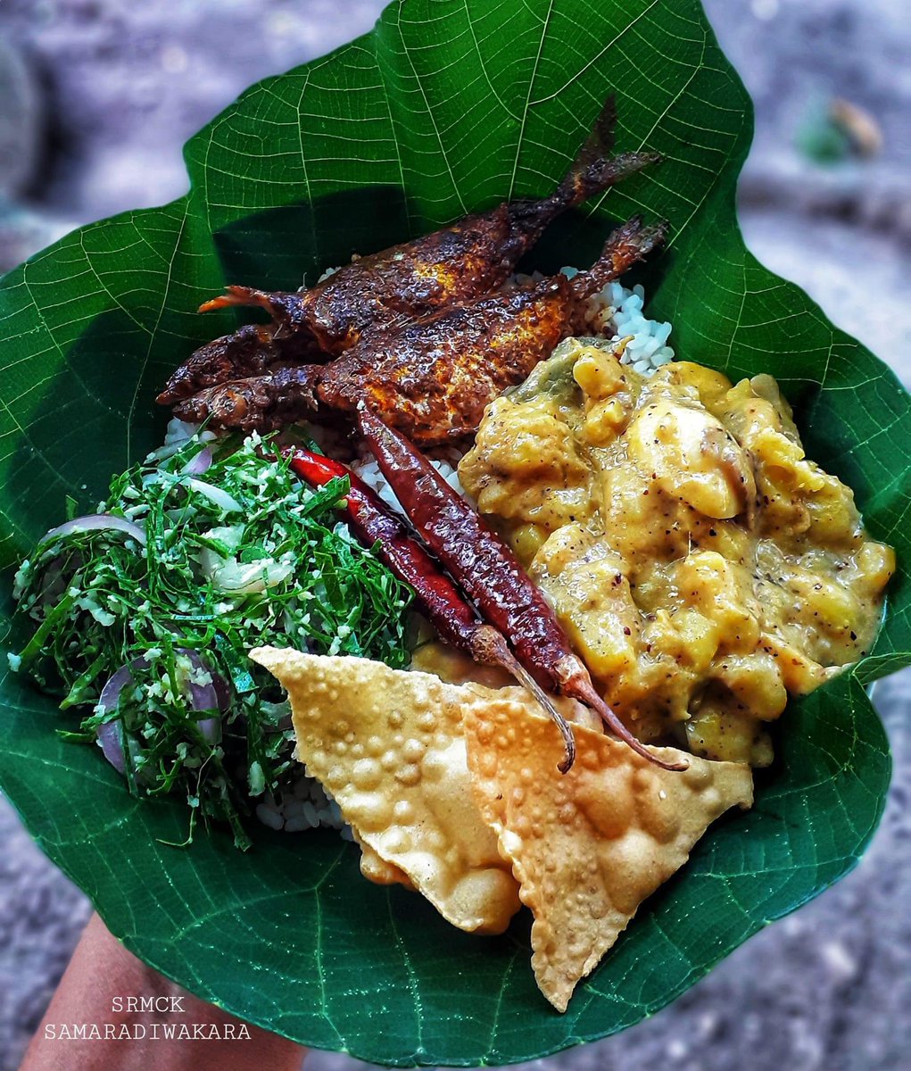 janaka_jojo's tweet photo. මෙ වාෙග් කැම එක්ක අයේ කවදා කන්න හම්බවෙයිද…😌🥲

#පිටරටජිවිත https://t.co/ltxlscGEFT