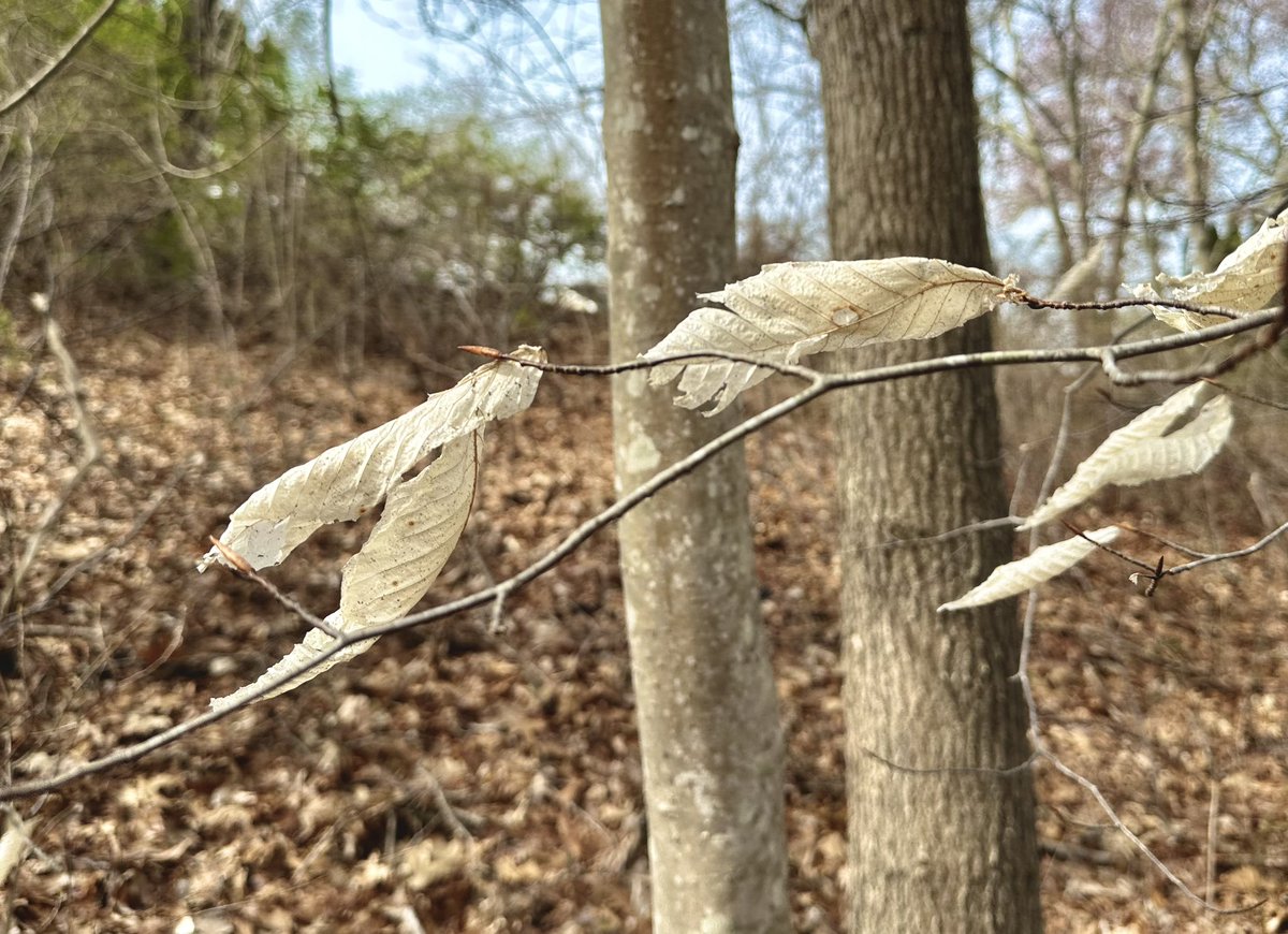 Nice early spring bike ride. A warm coffee—chilled break, and signs of spring.