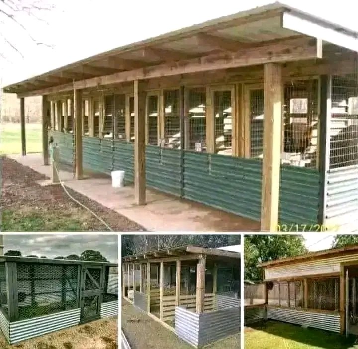 Latest Poultry house designs

Poultry house needs to be designed in a way that you maximize space, minimize diseases, ease of working e.g cleaning or isolation among other items.

Putting up these designs togather. Comment "coop" &amp; retweet to have it sent to you when ready.