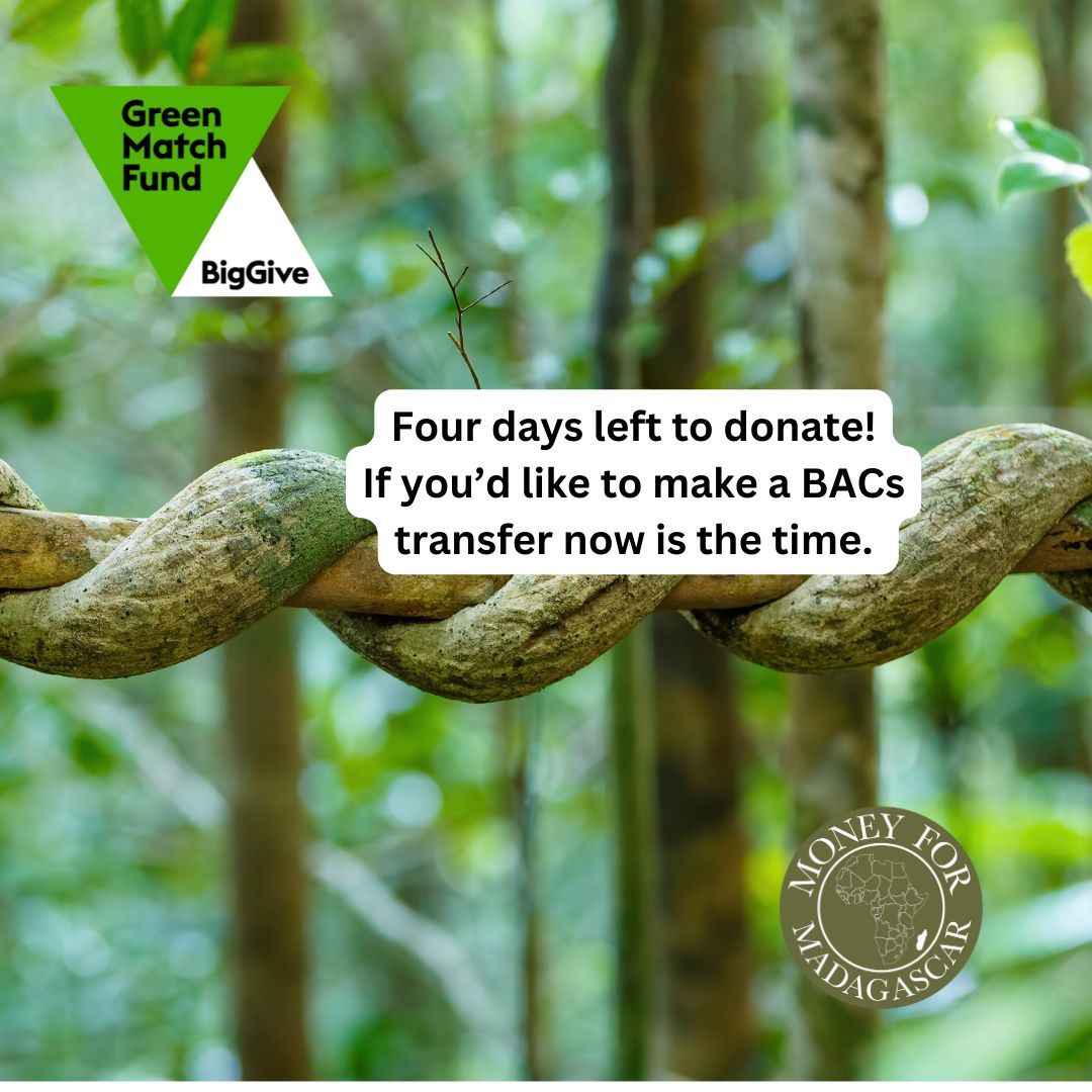 With four days to go, our Big Give Green Match Fund is well under way. Get donating today. Remember, if you’d like to make a donation via bank transfer, it’s better to do so now to give the money time to transfer. Find out more in this link: buff.ly/4cXrDmZ