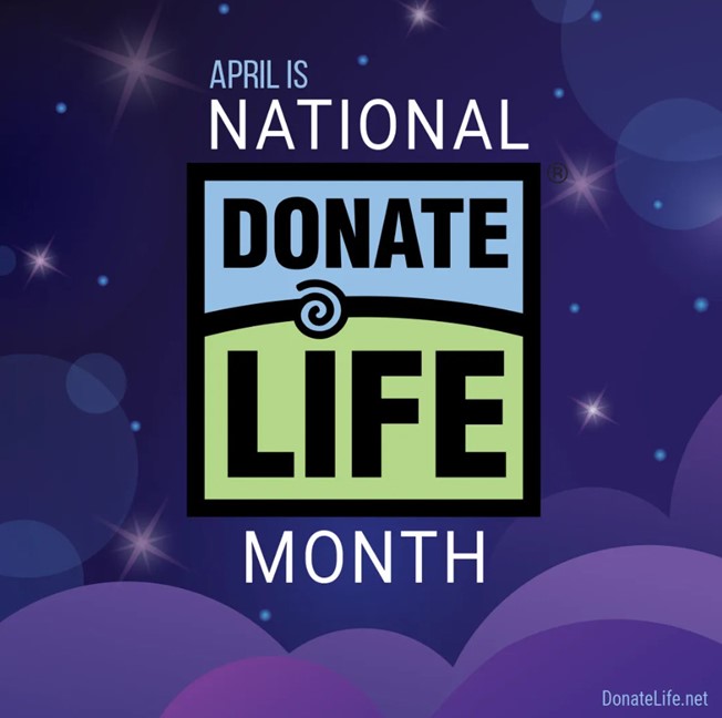 April is National #DonateLife Month, a period to raise awareness about the need for organ donations. @MayoClinic transplant surgeon and Director of the Transplant Center, @JulieHeimbach, debunked myths surrounding organ donation. @KTTCTV bit.ly/4azTKXT