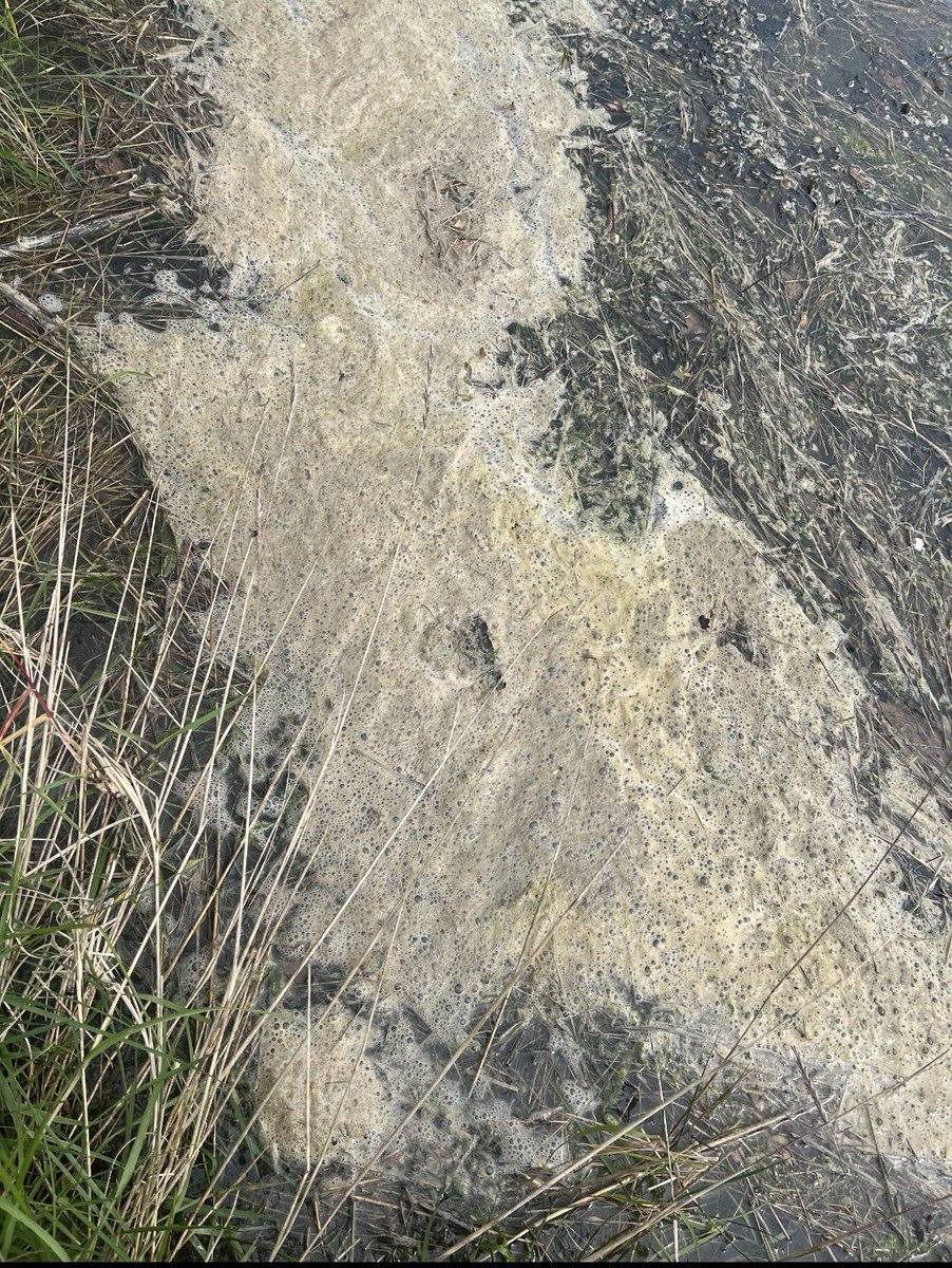 HaylingGeog's tweet photo. https://t.co/UVocKd8oDL