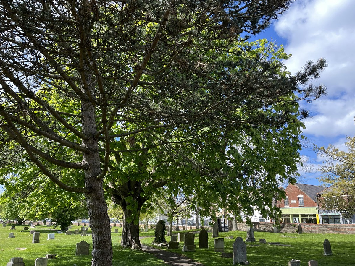 The sun is out, the sky is blue ……. #portsmouth