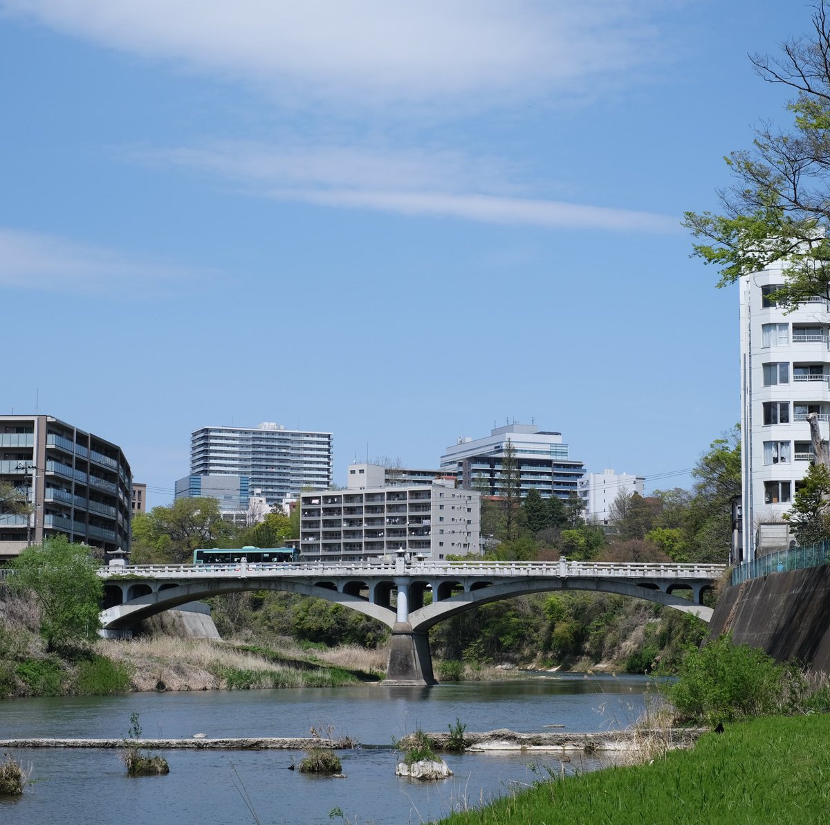 広瀬川の河畔から望む霊屋橋。
 #仙台  #霊屋橋  #街角  #広瀬川  #仙台市営バス
 #sendai  #hirosegawa  #landscape