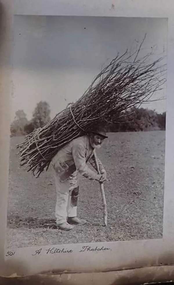 Just music! Lot Long was his name, and he was a roof thatcher born in 1823, and died a widower in 1893.🎸🎶