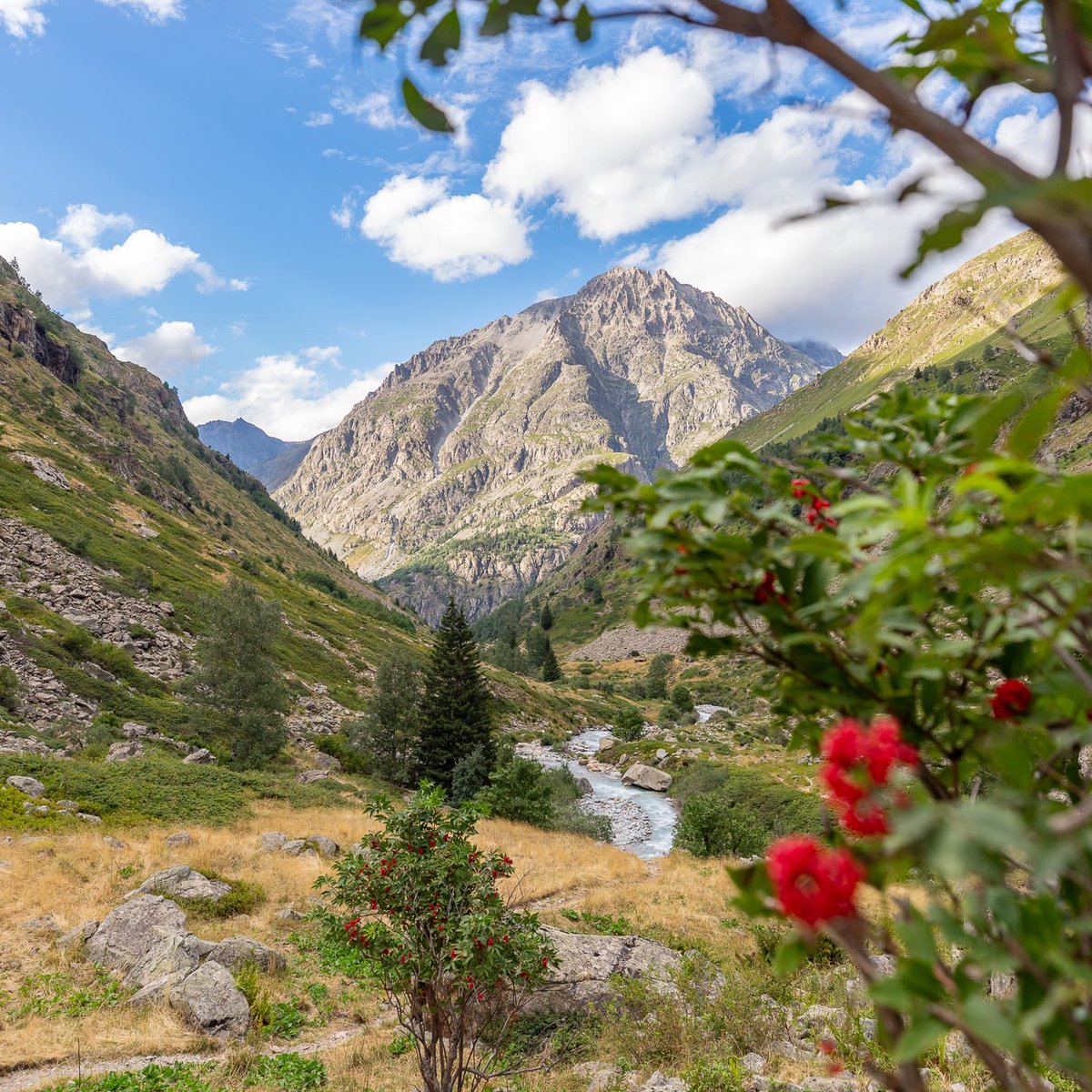 Vous cherchez un trek magnifique et original sur 3 à 5 jours dans les #Alpes françaises ? Je vous propose le tour gourmand en #Oisans, au cœur du parc national des #Ecrins. Refuges mythiques, rivières et lacs superbes, sommets emblématiques… un régal ! itinera-magica.com/trek-ecrins-to…