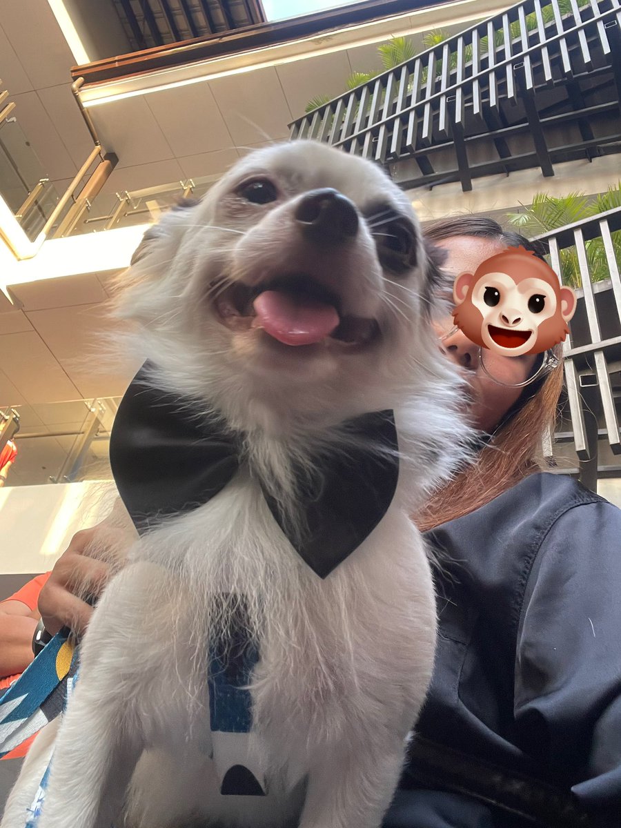 ajbibii's tweet photo. henlo, hoomans!

$BUBBLE $XTER $PARAM $EVERY $BEYOND $SMOL #PIXELPIX
@PlayPixelPix https://t.co/JuCDy6o8fn