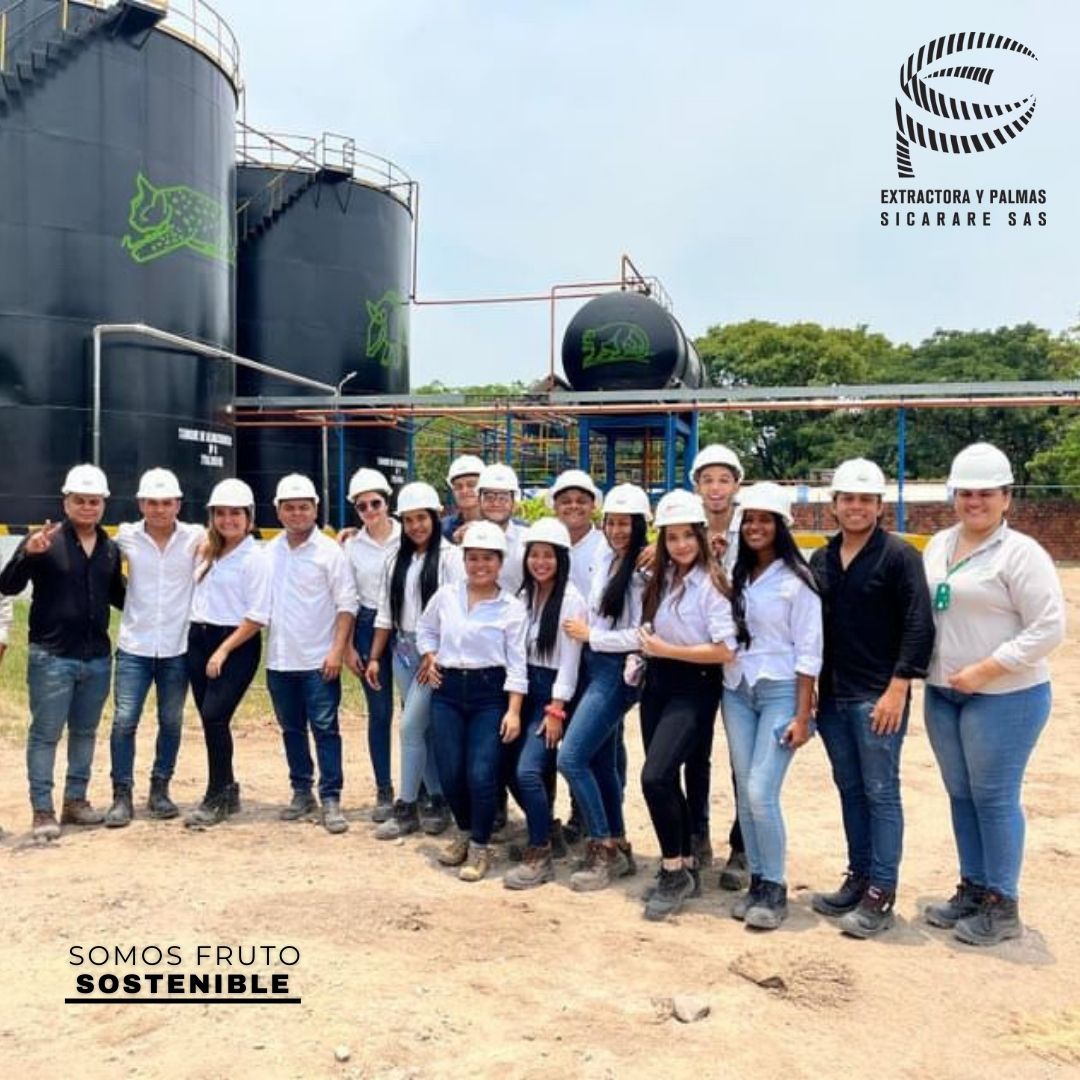 Recibimos la visita de estudiantes de octavo semestre de ingeniería industrial de la Universidad de Santander, UDES, quienes tuvieron la oportunidad de conocer los procesos que se desarrollan en la planta para la extracción de aceite de palma y palmiste. #SomosFrutoSostenible