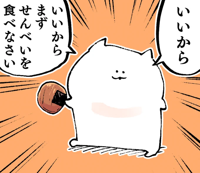 #力強いメッセージを携えたねこ 