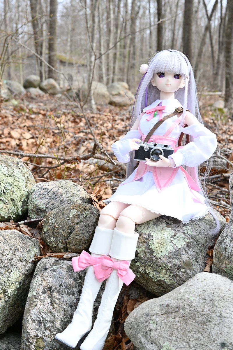 PMBSakura37's tweet photo. The weather cleared up, So Emilia was able to go out for a stroll in her new dress to show it off in a natural environment. #dollfiedream #dollfidereamemilia #dollfiedreamemiliav2 #dollfiedreamemiliasecondversion #rezeroemilia #rezeromemorysnow #bjd https://t.co/gH7ftl3sey