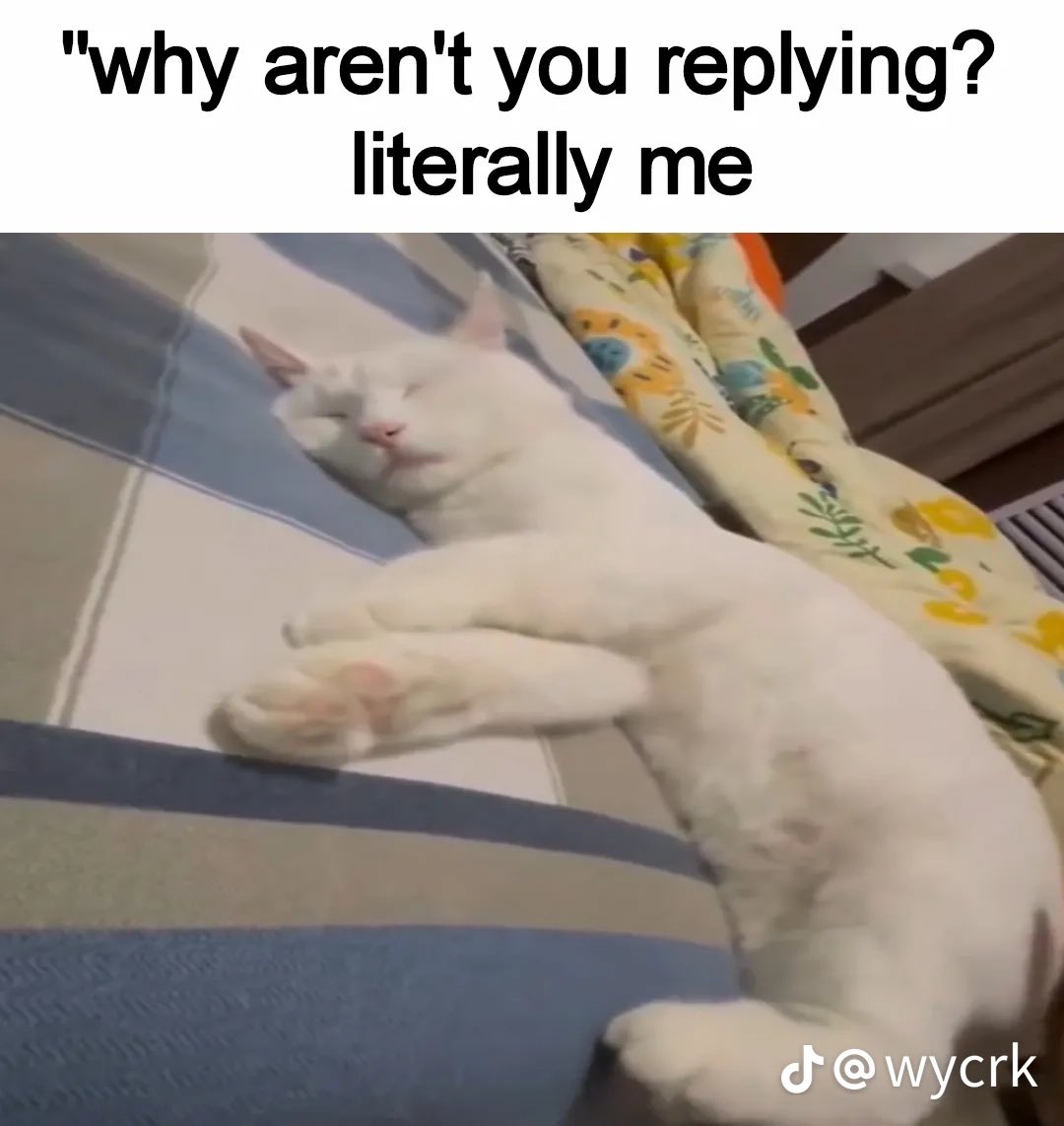 soupie !! :3 (@yojuxid) on Twitter photo 