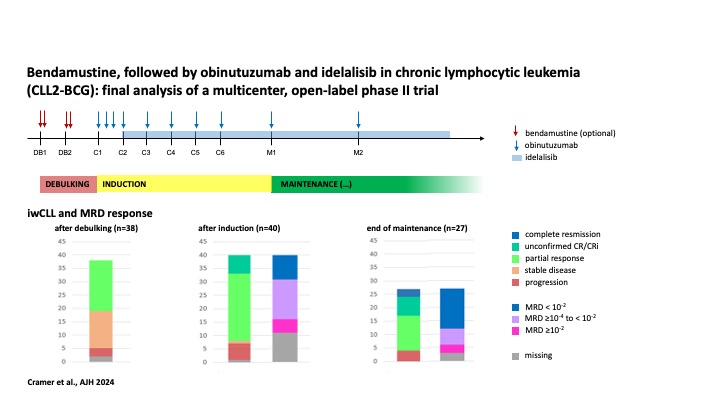 AjHematology's tweet photo. The CLL2-BCG-trial by the German #CLL Study Group confirms the known severe toxicities of idelalisib and advise bendamustine followed by idelalisib and obinutuzumab should only be used with caution and if all other treatment options are exhausted https://t.co/RiSb1w0LrA #lymsm https://t.co/T4j7yCFw2q