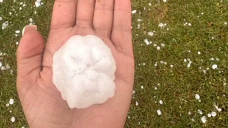 firehorse249791's tweet photo. [U.S] Hail storm causes some damage in parts of Robeson County https://t.co/Z9fY9qQb7c #GlobalWarming #ClimateChange #ClimateEmergency #ClimateCrisis #GlobalBoiling #SevereWeather #Hail #Storm #RobesonCounty #LaurelHill #Lumberton #NorthCarolina #America https://t.co/TSx3B4tfxG