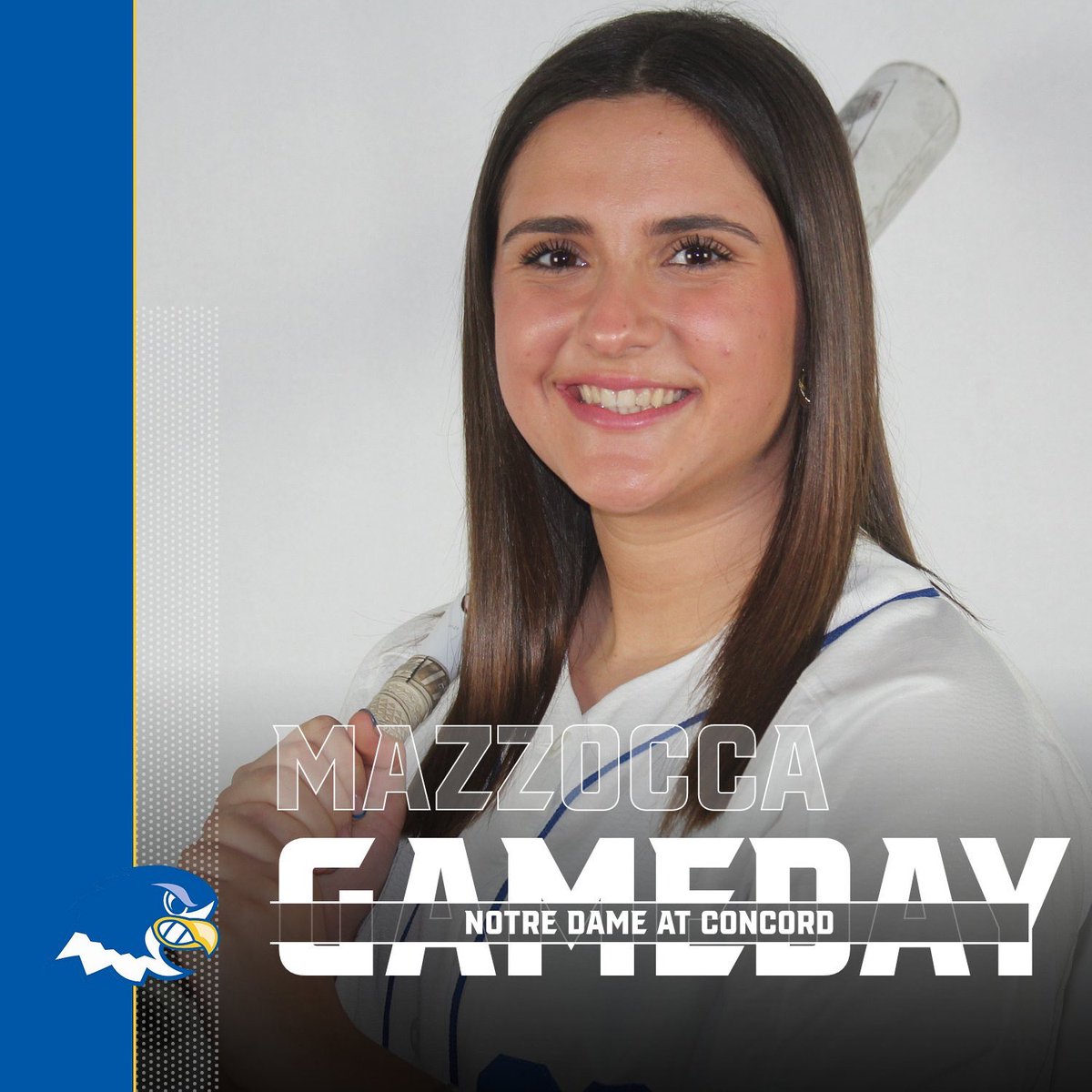 NDC softball is in Concord today, playing their last regular season road games! The doubleheader begins at noon! #FlyAbove