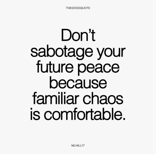 GM
Don’t let anyone stop you from moving on.,.

@TheDHMGroup @GrandpaApeCC @TribeQuokka @RespectedRhinos @cabf_nft 
#gacc #macc #gakc #TribeUp #TheCrash #RRC #DHMG