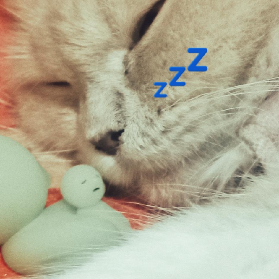 sleepy bubbies