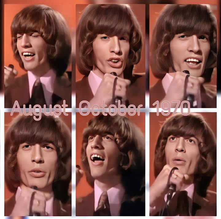 Robin photo of the day.#robingibb