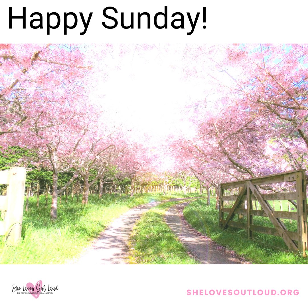 Happy Sunday! It's a perfect day to celebrate family and friends! 🌞 #happysunday #spring #cherryblossoms #celebrate #positivelysunshine