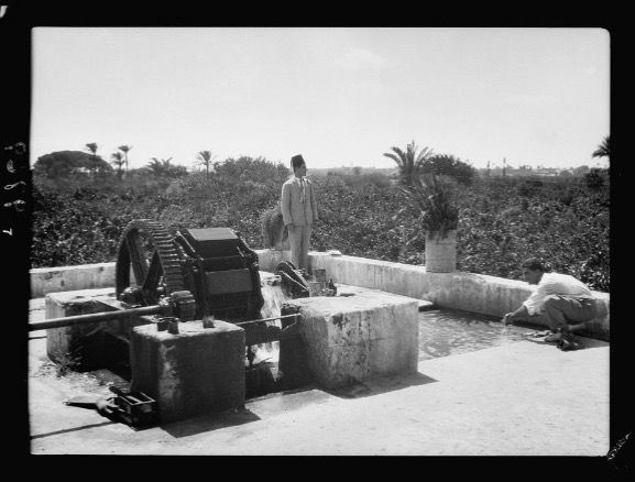 By 'complex Arab past' he means that the kibbutz was established on the ruins of a Palestinian village destroyed by israel in 1948, 100 homes were demolished, with over 3000 refugees from this village unable to return, many of whom are being bombed with german weapons in Gaza.