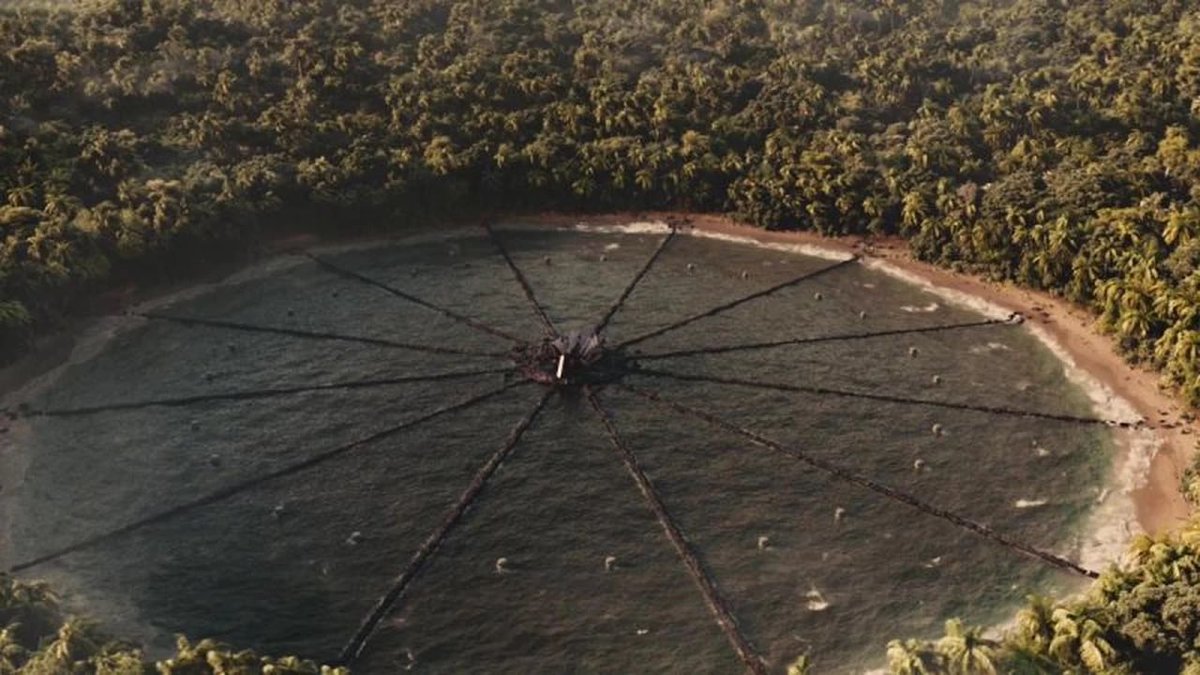 catchingodesta's tweet image. you wouldn’t last an hour in the asylum where they raised me