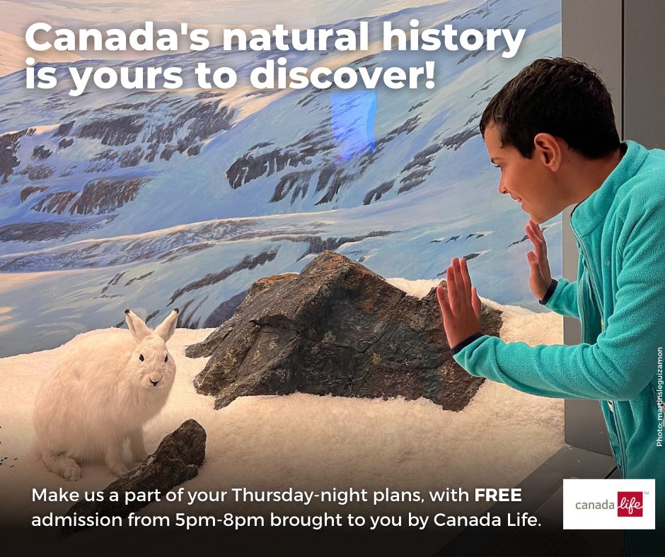 Make the Canadian Museum of Nature a part of your Thursday-night plans, with ✨FREE✨ admission from 5 pm - 8 pm brought to you by @canadalifeco. Book your tickets in advance online ➡️ nature.ca/en/visit-us/pl… #MyOttawa #FreeEventsOttawa #DateNightOttawa #OttawaStudents