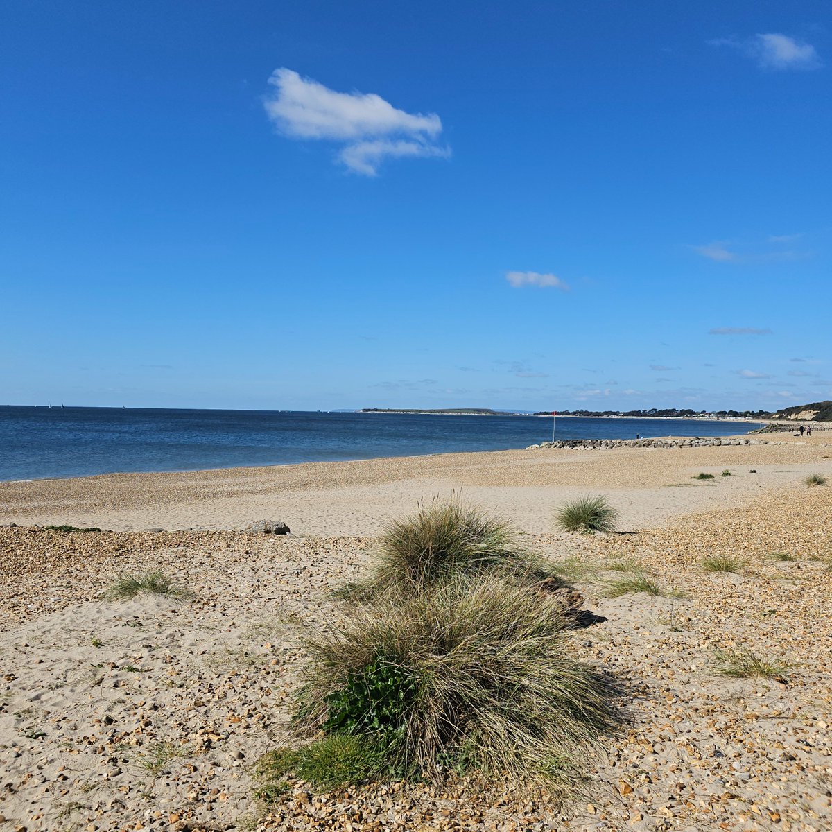 HighcliffeBeachClean tweet media