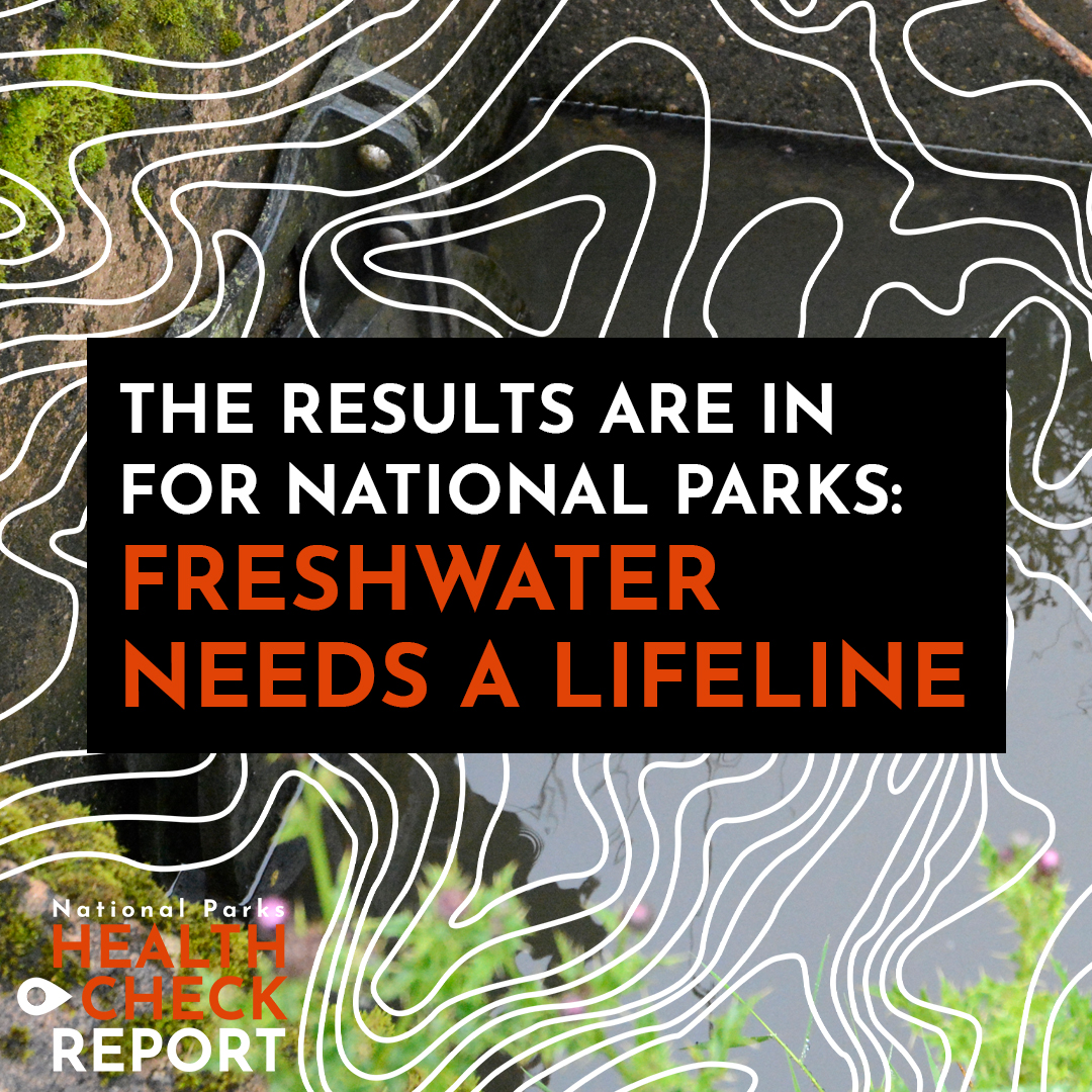 The Lake District has seen the highest recorded number of sewage spills of all National Parks ⚠️ @Campaign4Parks Health Check Report shows that there were 377 sewage releases from storm overflows in #NationalParks in 2022 alone🤢 👉cnp.org.uk/health-check-r…