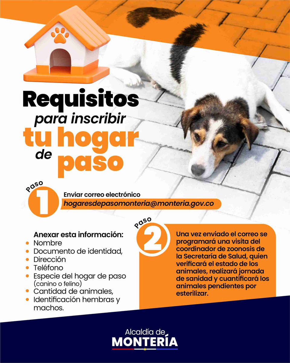 monterialcaldia's tweet photo. ¿Tienes un hogar de paso donde le das refugio a los animales de la calle?

Agradecemos tu labor y queremos ayudarte. Por eso te damos el paso a paso para que inscribas tu hogar con nosotros.

Sigue este 🧵⬇️ https://t.co/NY9N2LA7my