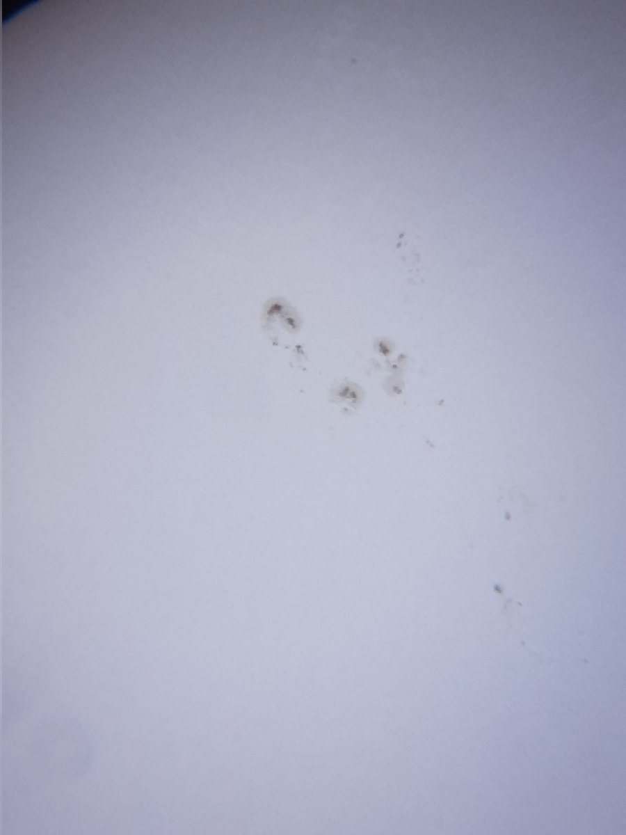 mark stuart tweet media