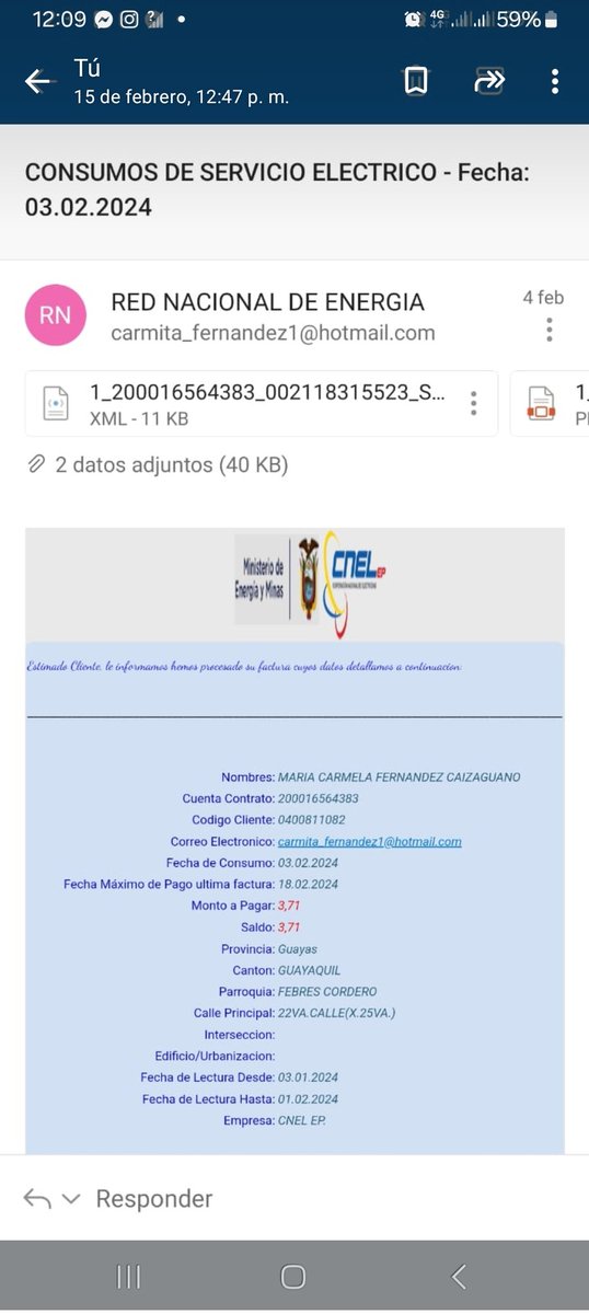 carmitafernandez tweet media