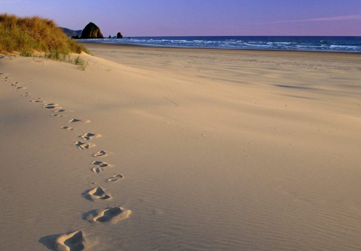 Étreintes J’ai laissé mon regard dessiner l’océan De son onde bleutée aux caresses du vent, Mais mes yeux se sont clos tellement l'émotion De sa beauté parfaite étreignait l'horizon, Tandis que dans le sable au miroir scintillant, Les pas de notre amour s’effaçaient doucement.