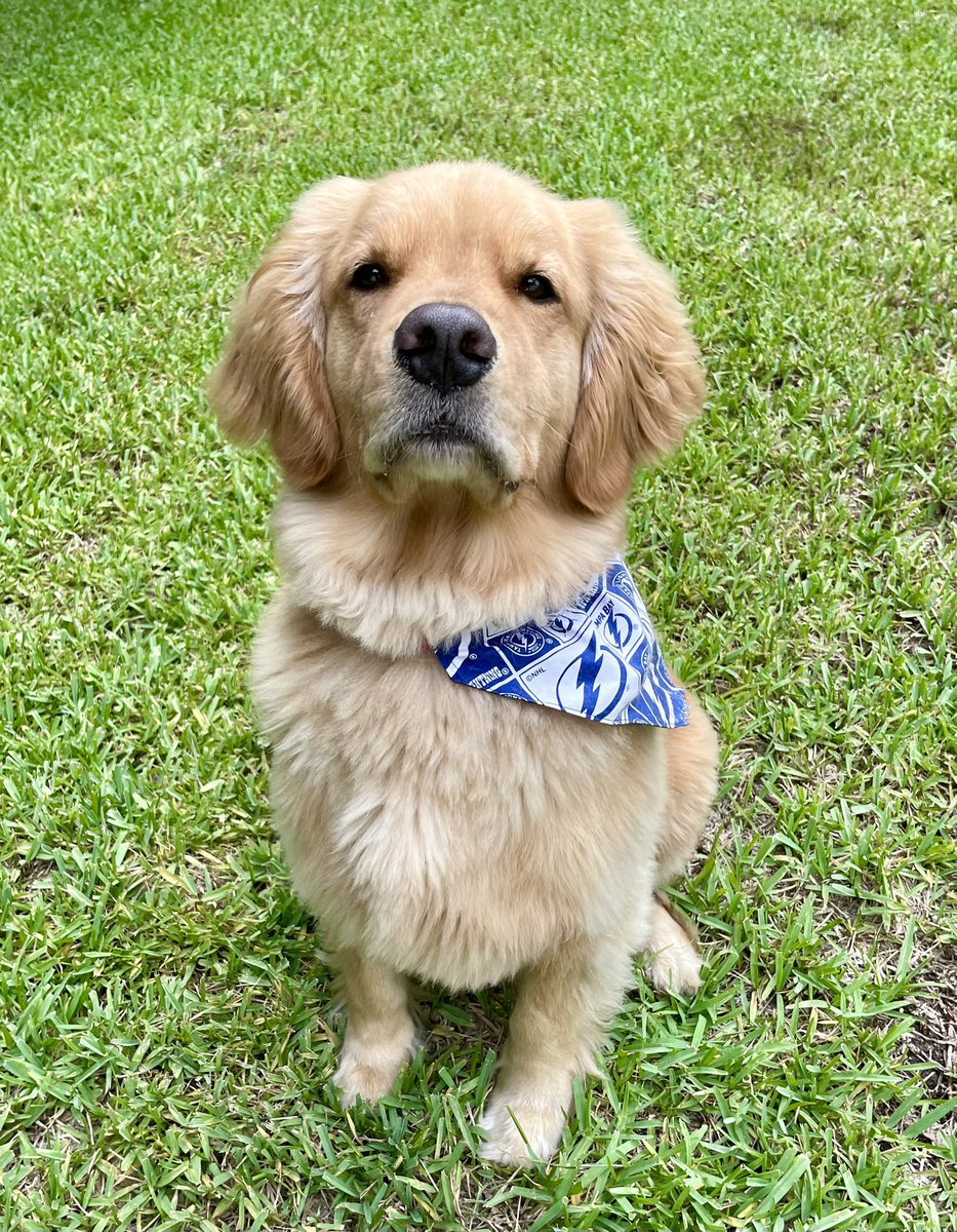 Game Day. No messin’ around game face. #GoBolts