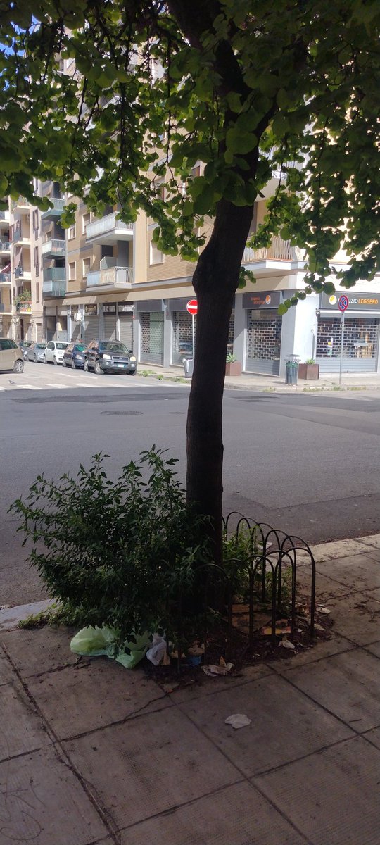 salving's tweet photo. @ilpost A Palermo il comune lascia fare serenamente alla natura https://t.co/lFyknQ3b1k