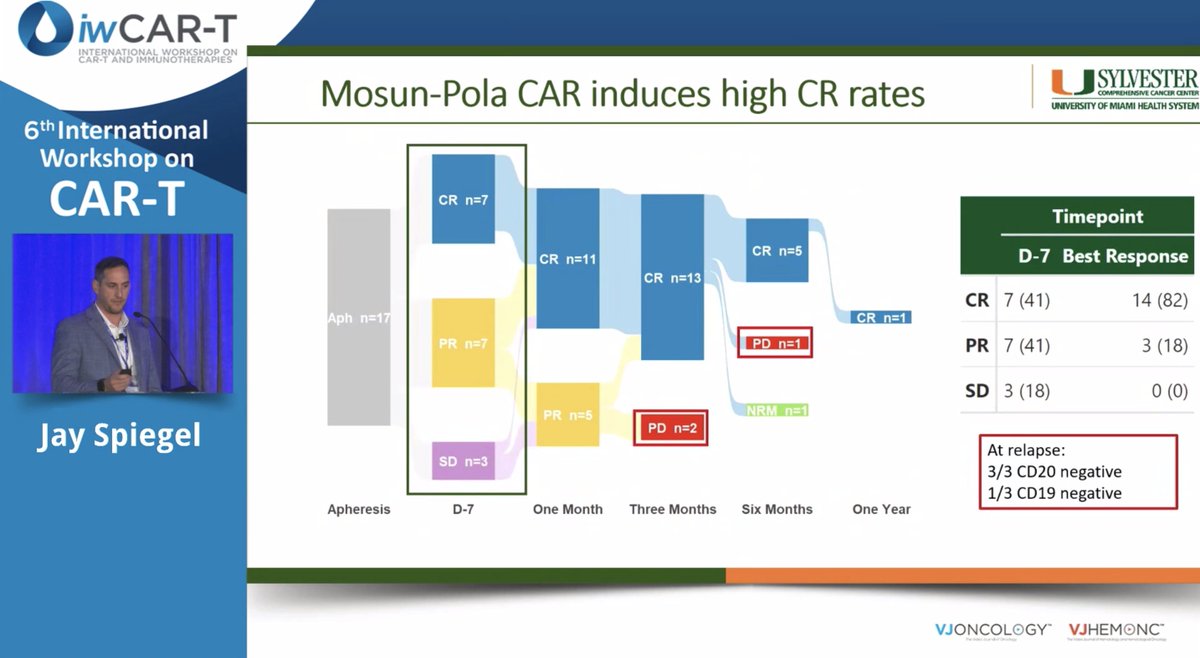 VJHemOnc's tweet photo. Jay Spiegel (@jayspiegel25/@SylvesterCancer) presents total therapy for #LBCL combining mosun/pola/axi-cel 

#iwCART24 @VJHemOnc #iwCART #CART #CellularTherapies #Lymphoma #Lymsm https://t.co/BGUS2ICAdq