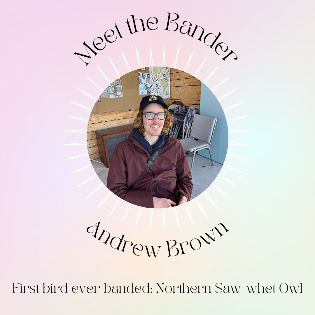 OfficialPEPtBO's tweet photo. Next up, meet Andrew, our newest team member. Andrew has spent the last three years researching Semipalmated Plovers in Churchill, MB. We're thrilled to have him on board for this exciting year ahead!
#BirdObservatory #BirdBanding #Ornithology #FieldWorkLife #BirdResearch https://t.co/vIWtSeG4Qr