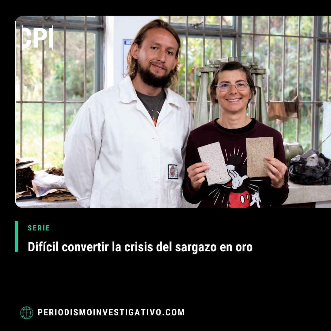 Aún quedan desafíos para encontrar un negocio rentable que reduzca las millones de toneladas de sargazo que llegan a las costas de la región cada año. Lee la historia de los periodistas Krista Campbell, María Mónica Monsalve y Freeman Rogers. ow.ly/ZUNr50RkcCv