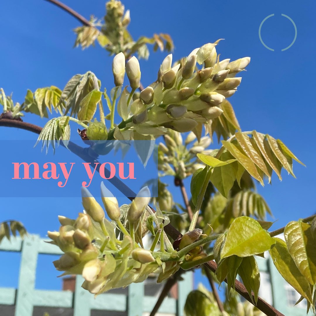 Dr Orlaith O'Sullivan tweet media