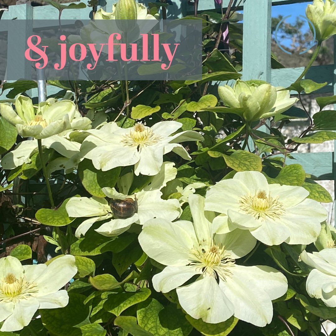 Dr Orlaith O'Sullivan tweet media