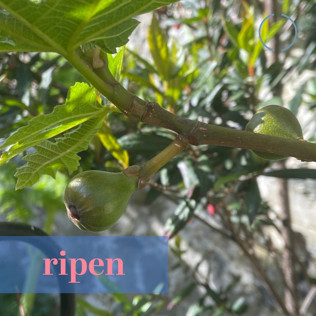 Dr Orlaith O'Sullivan tweet media