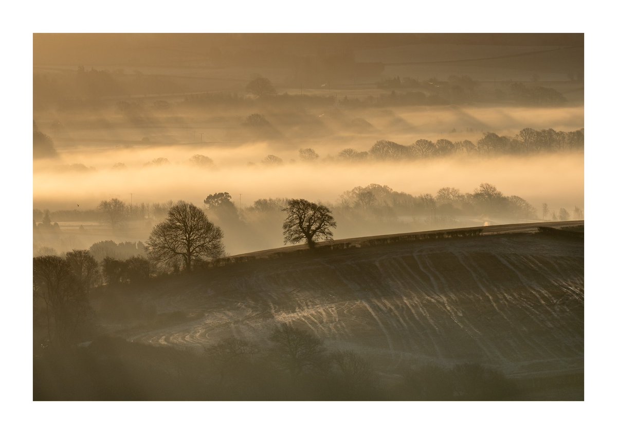 Golden slumbers Mist and golden light across North Somerset, from the hills above south Bristol