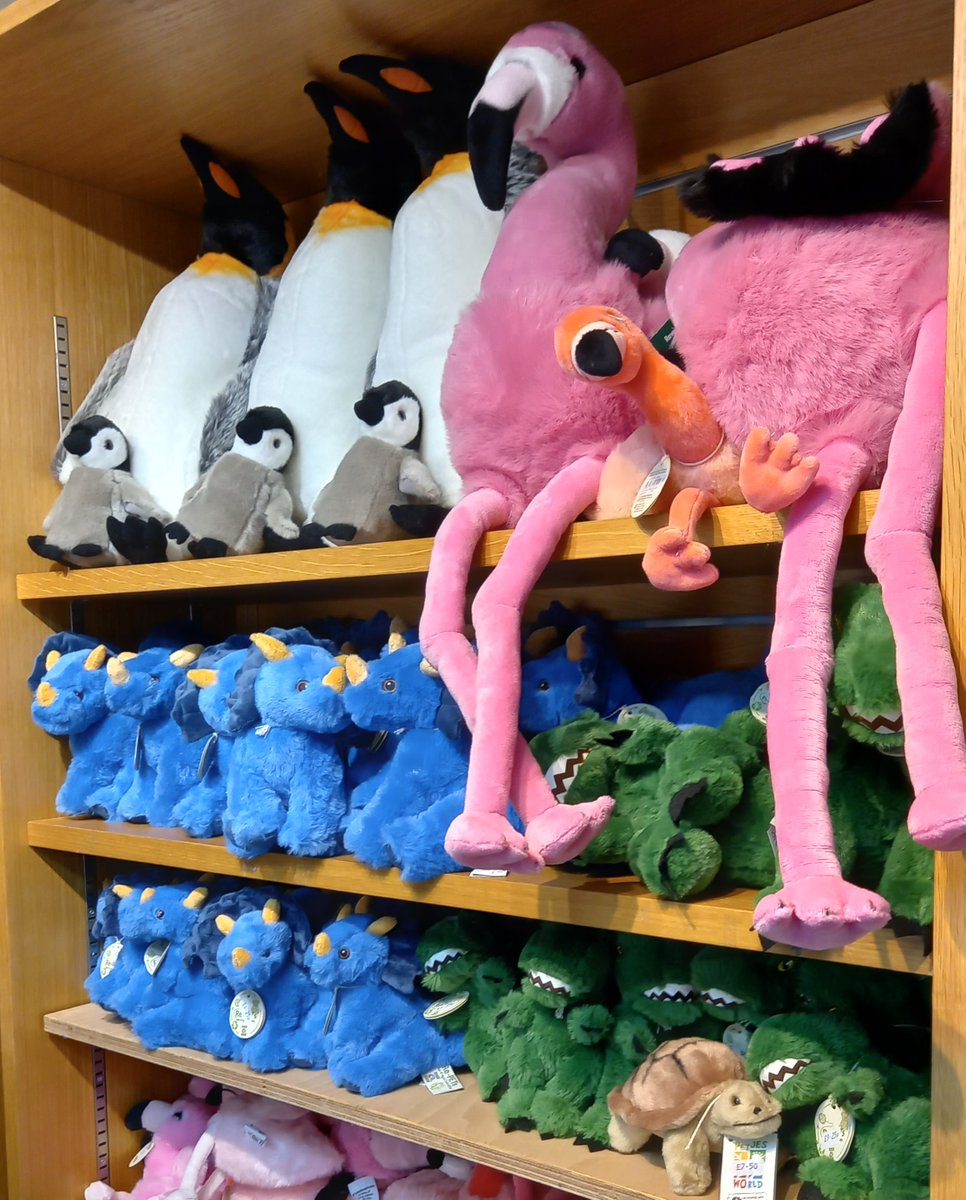Take home a piece of the wild with a snuggly penguin or cuddly dinosaur - the perfect way to cherish your time with us!