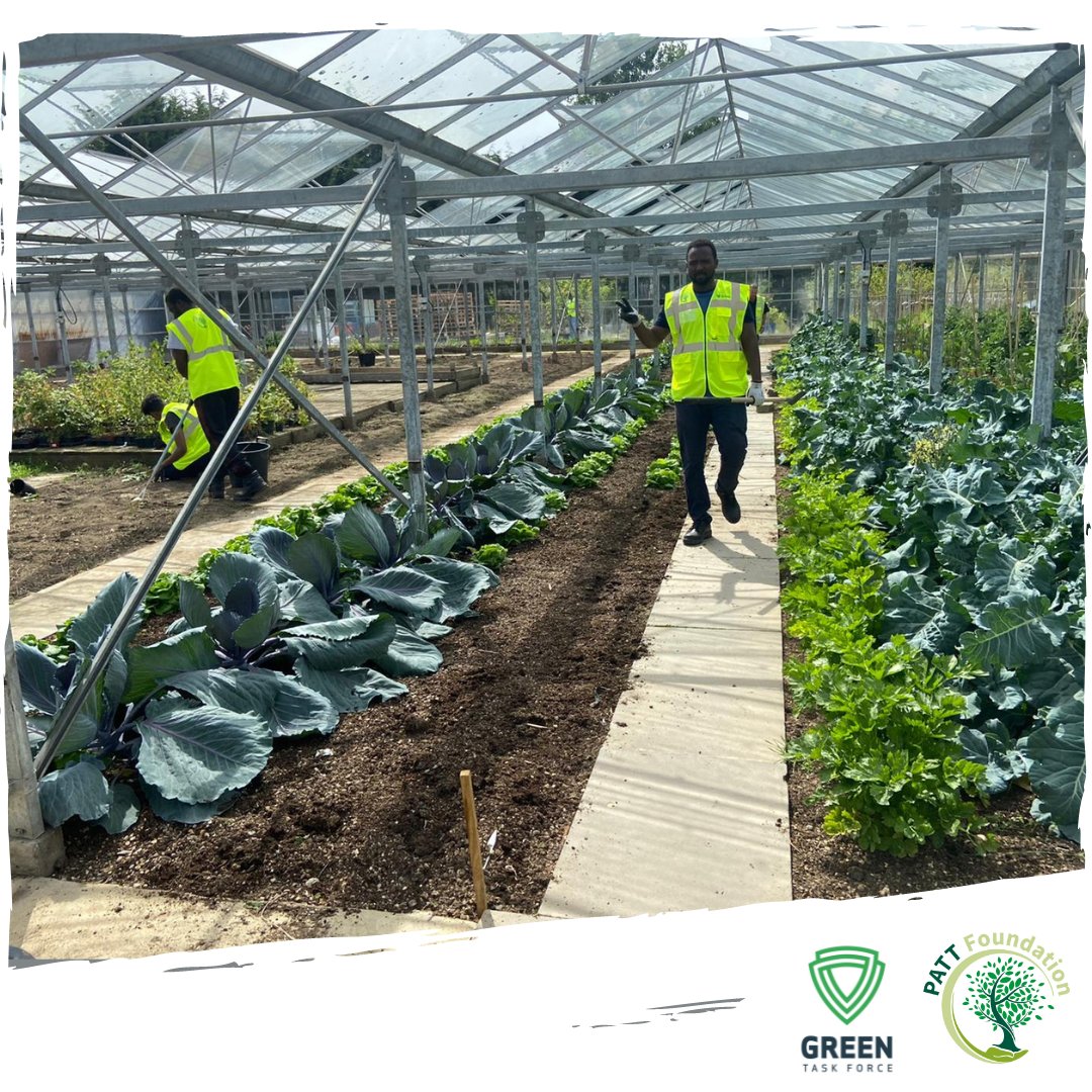 Learn new skills with the #PATTFoundation. We are always looking for #volunteers to help with our #treeplanting projects, work in our #nursery, or participate in our #community events. It's a great chance to meet new people, gain new skills, support local communities and he ...