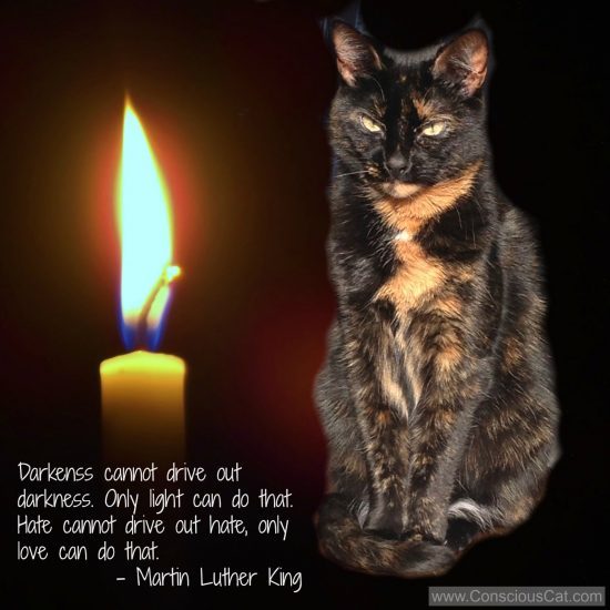 For those whose lives are blighted by darkness, and especially for the soldiers and citizens of #Ukraine 🇺🇦, I send purrs of light

Purr purr purr #Purrs4Peace