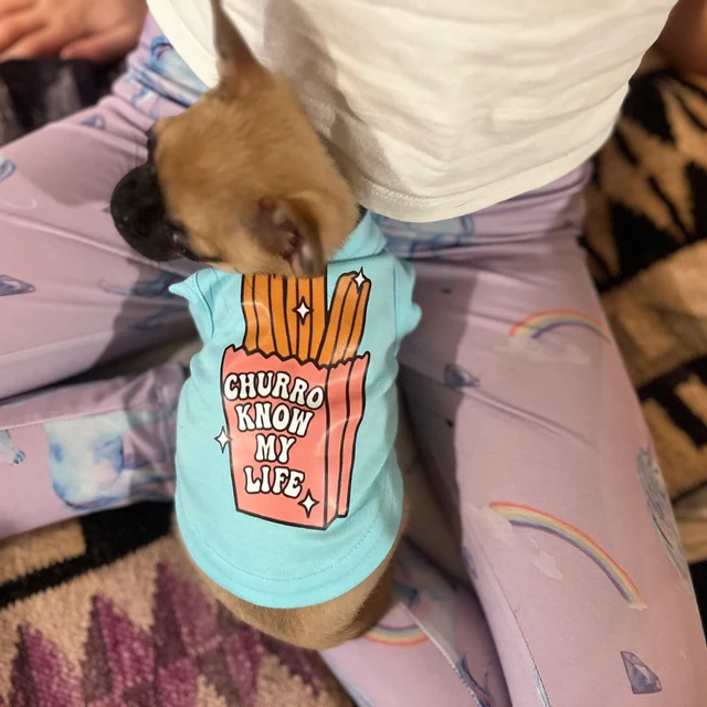 lovelightpaws's tweet image. Stay out of my business, chismosa! 💅

#funnydogmeme #funnydogshirt