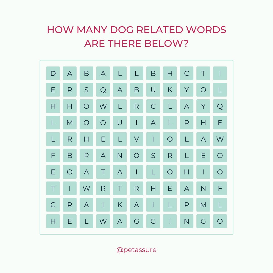 Pet Assure tweet media