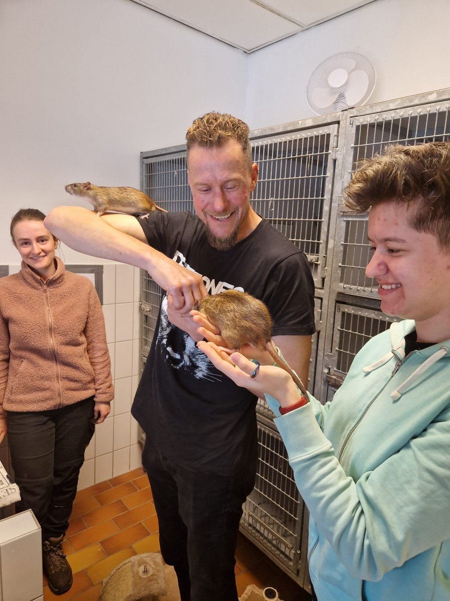 Gastouder Aniek is dolbij en wij zijn supertrots op haar 🤗 Vijf mannelijke rittens konden dankzij haar inzet op weg naar hun nieuwe thuis, een glansrijke toekomst! Zou je ook als gastouder aan de slag willen voor dieren in nood? buff.ly/45Fg6Vg #goednieuws #gastgezin